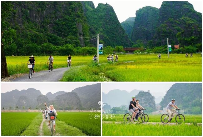 Tour en vélo autour de Tam Coc