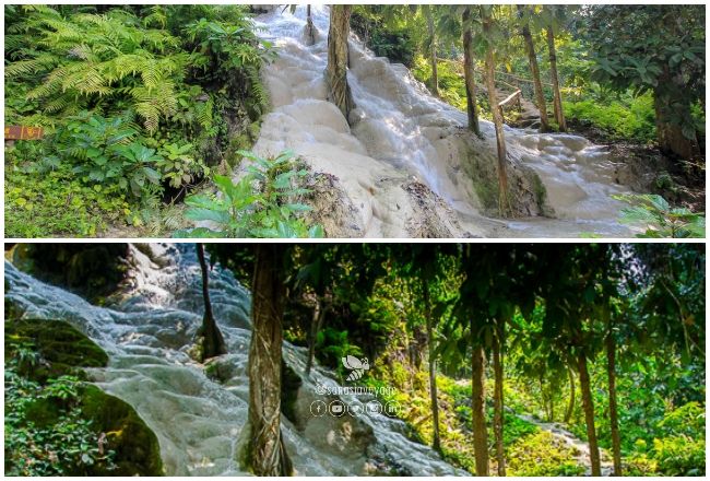 Cascades collantes de Bua Thong