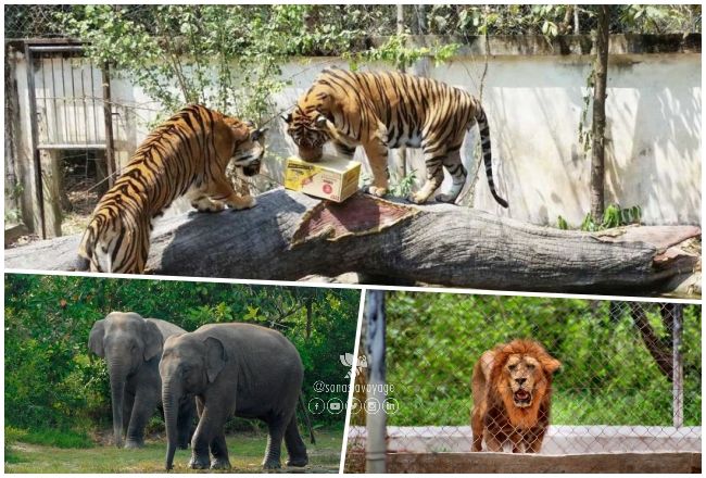 Phnom Tamao Wildlife Rescue Center