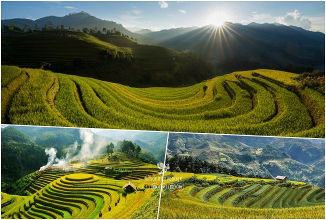 Mu Cang Chai