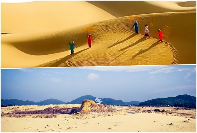 Dunes de Phuong Mai